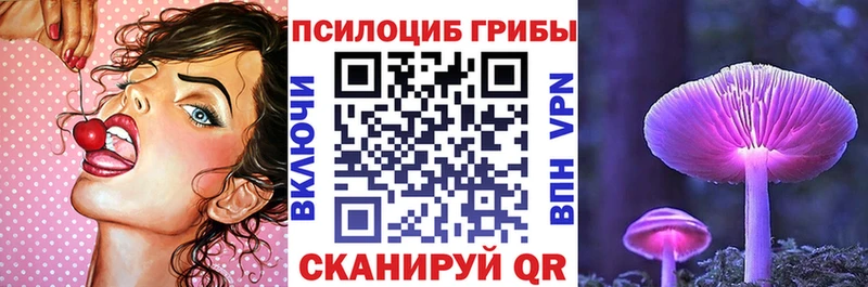 Галлюциногенные грибы мицелий  сколько стоит  Сенгилей 